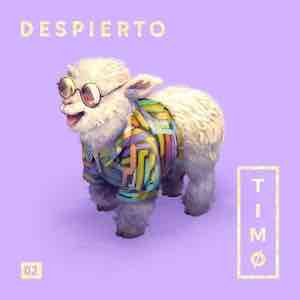 TIMØ - Despierto.jpeg